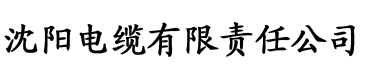 大香蕉正在播放电缆厂logo